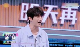 张远爆料王栎鑫飞机视频,揭秘明星私生活瞬间