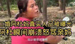 二婚阿杜爆料视频大全集,揭秘娱乐圈背后的真实故事