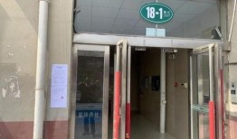 广西卖惨夫妇爆料视频,揭露真相背后的惊人内幕