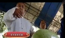功夫在线观看西瓜,领略中华武术魅力，体验热血沸腾的武侠世界
