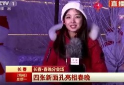王冰冰吉林爆料视频在线观看,揭秘幕后真相