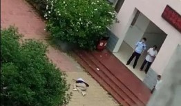 郑州小洋楼爆料视频曝光,揭秘背后惊人真相