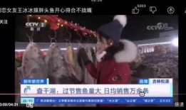 王冰冰吉林爆料视频在线观看,揭秘幕后真相