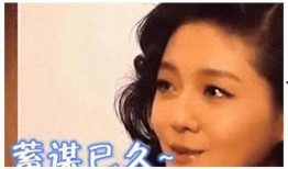 娱乐圈爆料酒店事件真相,揭开神秘面纱
