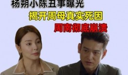 调解爆料母亲丑事视频,调解背后真相令人震惊