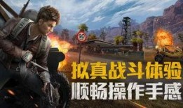 和平精英老王爆料视频,老王独家爆料，揭秘游戏幕后秘密与最新动态