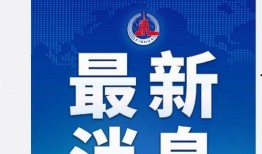 上游新闻怎么爆料,揭秘爆料流程，助力真相大白
