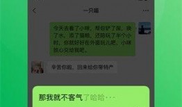 黑煤球微信爆料视频下载