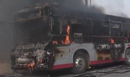 石家庄逆行爆料事件视频,街头惊险瞬间引发网友热议