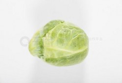 吃瓜视频 素材网站免费,免费获取海量素材的秘籍