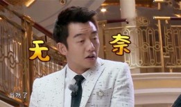 明星最新爆料视频播放大全,最新视频全集大揭秘