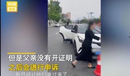 丹东袭警事件新爆料视频,真相再引热议