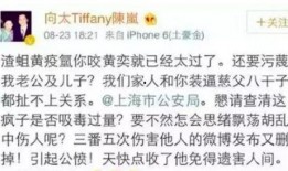 娱乐圈前任爆料小说,揭秘明星背后的情感纠葛