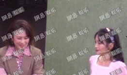 娱乐爆料马丽事件视频,娱乐爆料背后的真相揭秘