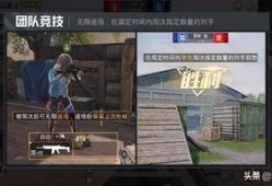 和平精英老王爆料视频,老王独家爆料，揭秘游戏幕后秘密与最新动态