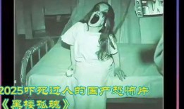 黑楼孤魂在线观看,揭秘神秘古楼背后的惊悚传说
