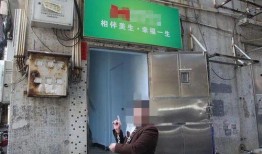 南阳二胶厂爆料视频大全,揭秘企业内幕与真相
