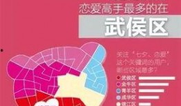 四川头条最新爆料,揭秘重大事件背后真相