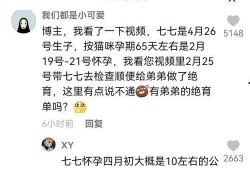 七七和铲屎官娱乐吃瓜君,吃瓜君带你揭秘娱乐圈幕后故事