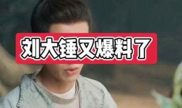 刘大锤正式爆料视频大全,揭秘视频大全背后的精彩瞬间