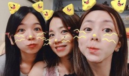 双胞胎妹妹爆料视频大全,揭秘幕后真相与温馨瞬间
