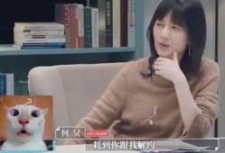 金星爆料娱乐圈四大黑幕,四大黑幕背后的惊人真相