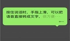 黑煤球微信爆料视频下载