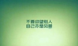 热点爆料励志视频素材,热点爆料励志视频背后的感人故事