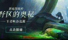 爆料王者峡谷视频下载,独家视频下载背后的精彩瞬间