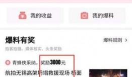 社会新闻爆料视频,视频爆料揭示社会新闻背后惊人真相