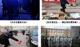 石家庄逆行爆料事件视频,街头惊险瞬间引发网友热议