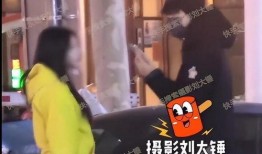 刘大锤正式爆料视频大全,揭秘视频大全背后的精彩瞬间