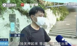 网红徒弟吃瓜是真的吗,真相还是炒作？