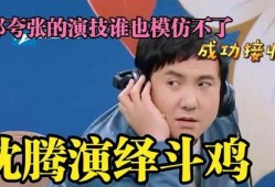 沈腾爆料借钱视频大全集,揭秘娱乐圈背后的温情与互助