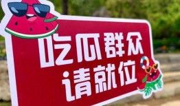 2024年免费吃瓜,全民共享的甜蜜诱惑