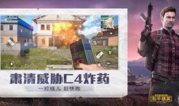 和平精英老王爆料视频,老王独家爆料，揭秘游戏幕后秘密与最新动态